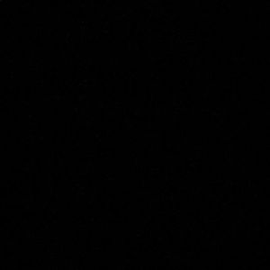 Meet your Posher, Bayleigh